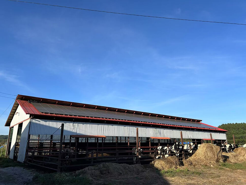 1748253152104400.jpg 13.jpg