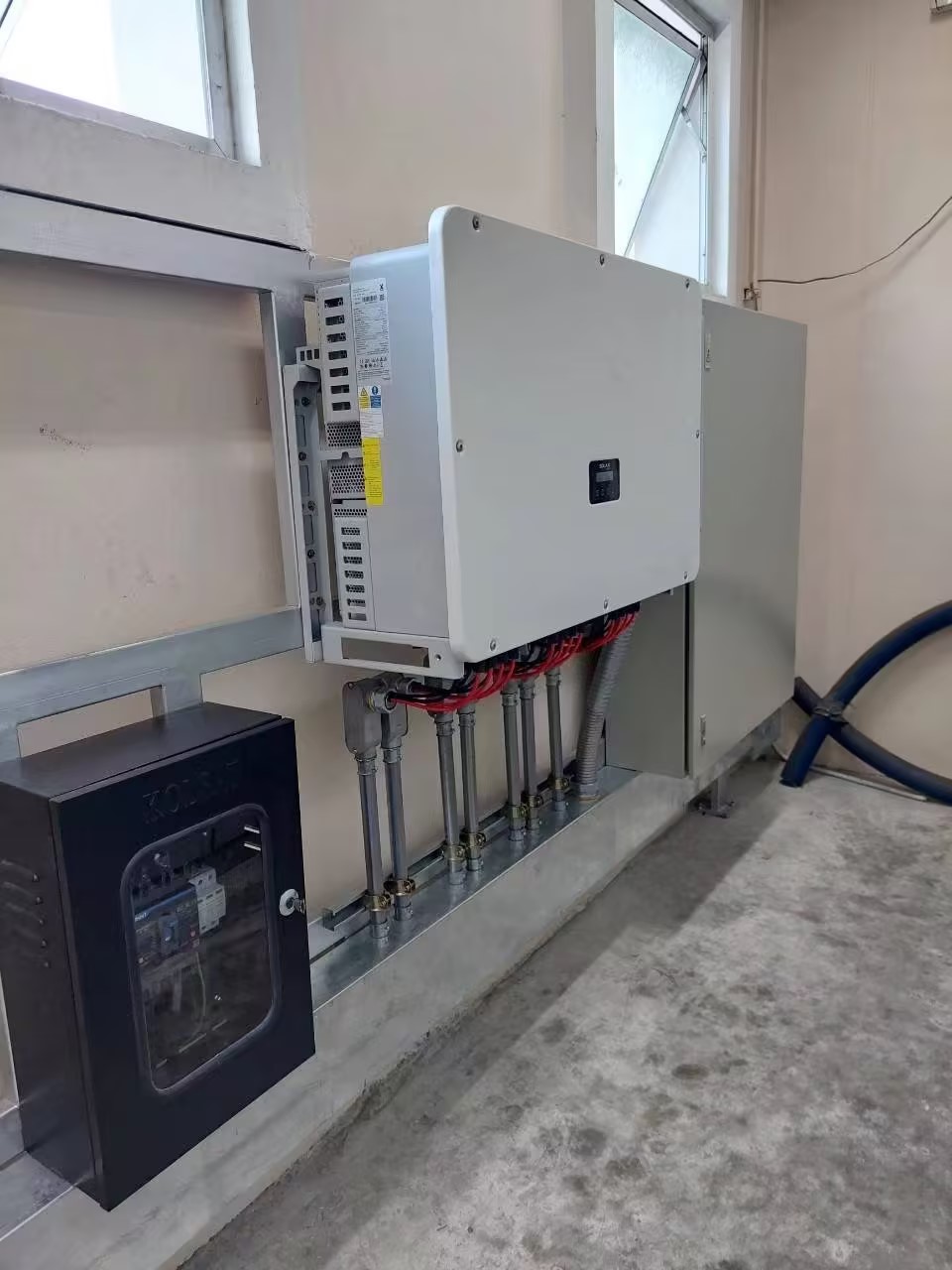 1748596214868175.jpg 7.jpg